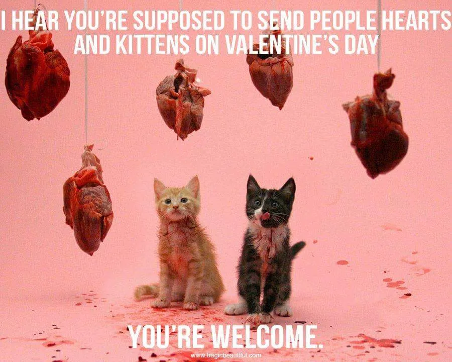 hearts and kittens.jpg