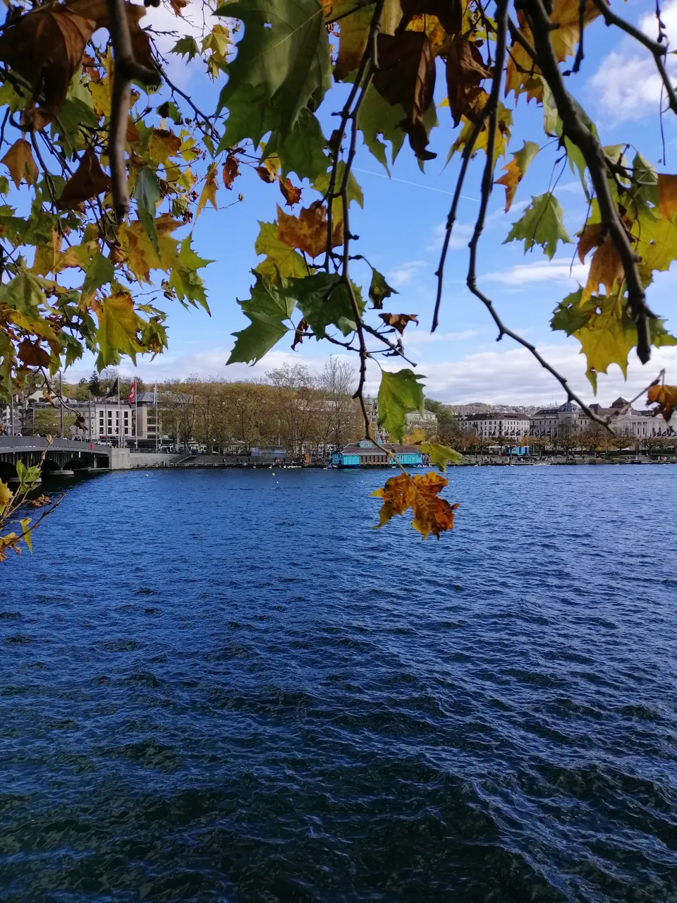 IMG_20191102_120950[1].jpg