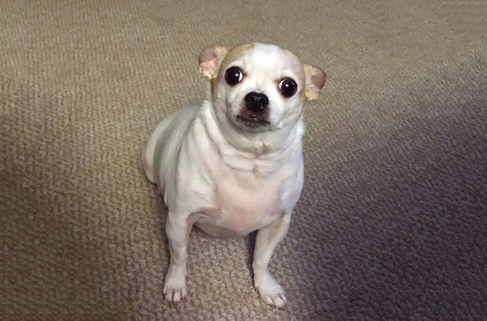 20131005_215506 copy.jpg