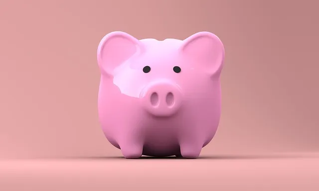 piggy-bank-2889042_640.jpg