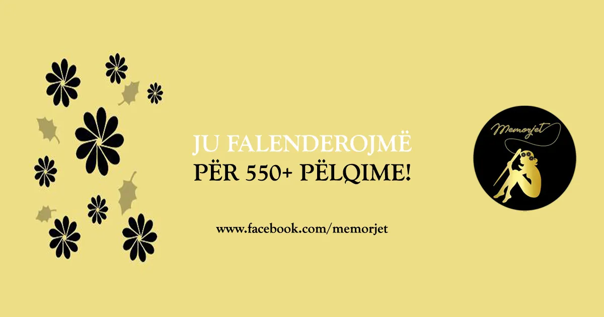 facebook 550+ like.jpg
