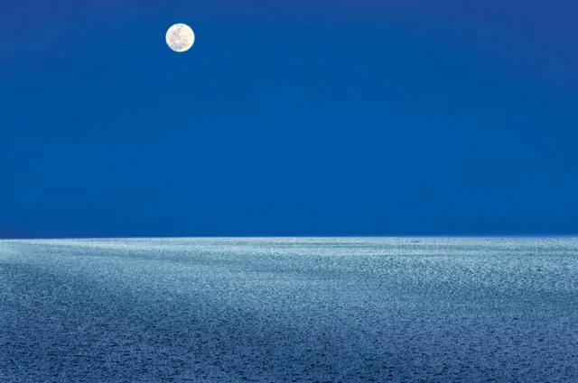 rann-utsav-gujarat_640.jpg