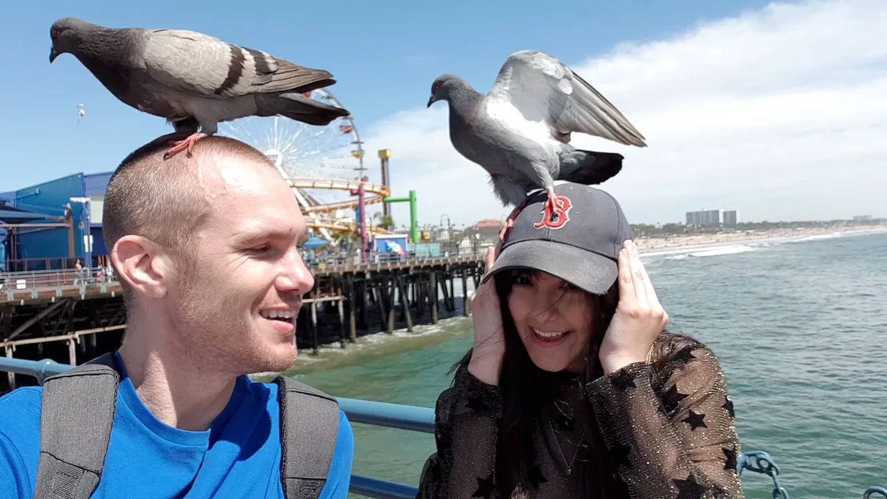 pigeon_girl_and_dave_1.jpg