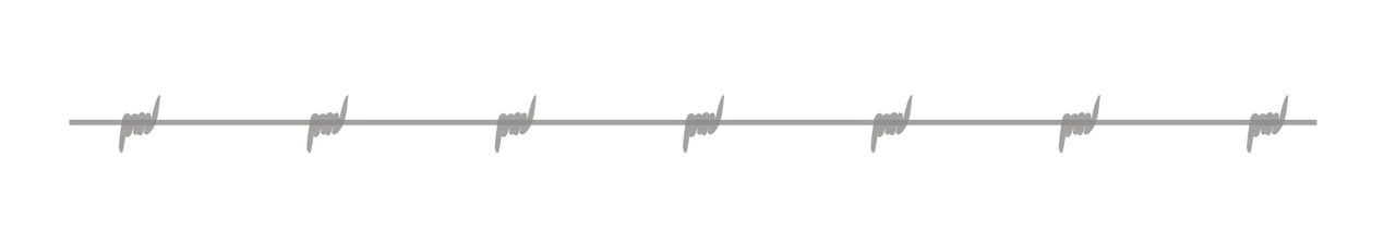 separador puas png.png