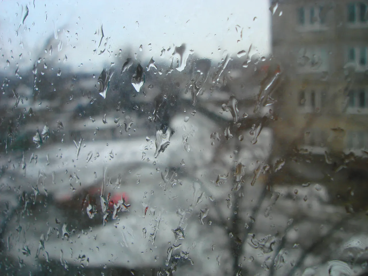 DSC00905-2333333333333.jpg