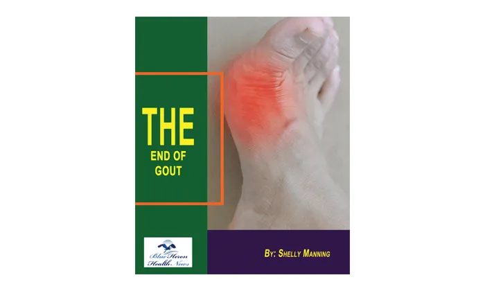 The-End-of-Gout-review.png