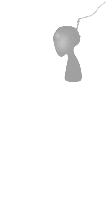 stille_waechter_ebenen.gif