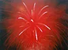 firework4_owogud (1).jpg