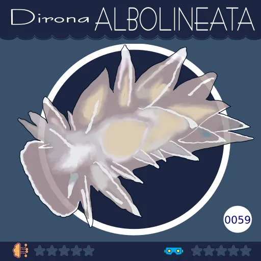 0059-DironaAlbolineata.png