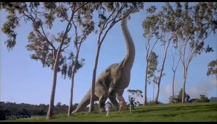 5c57c238230a4039437854.gif