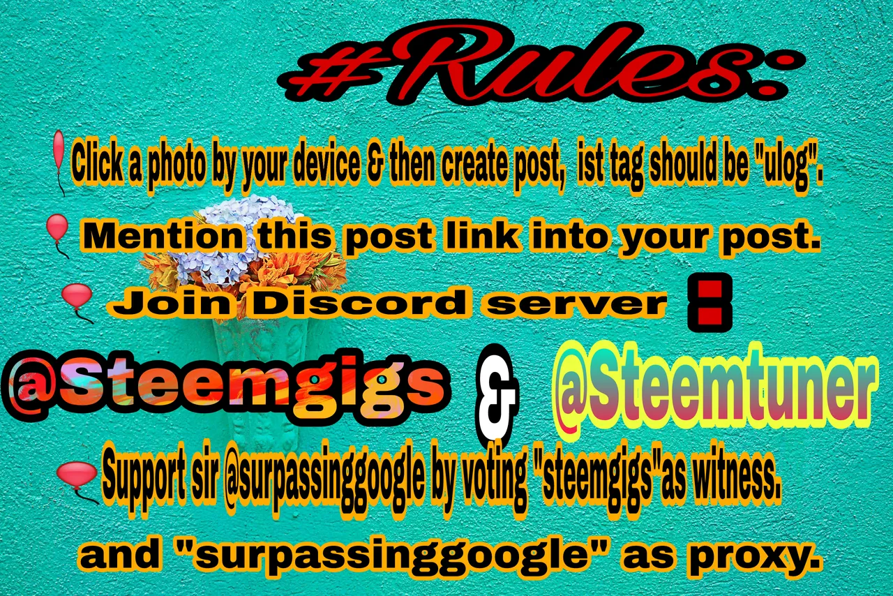 PicsArt_06-12-12.38.57.png