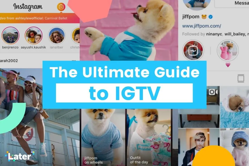 junew4-igtvguide-share.jpg