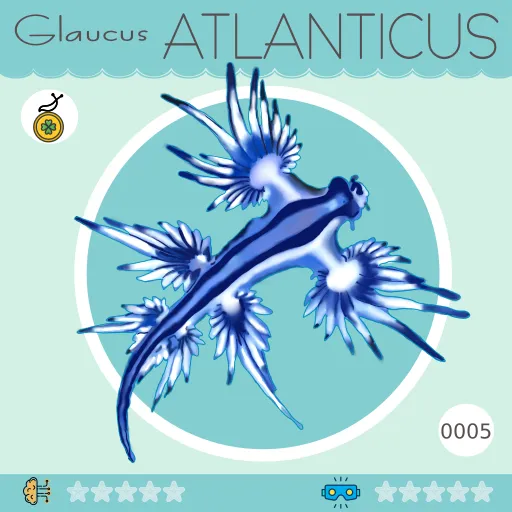 0005-GlaucusAtlanticus.png