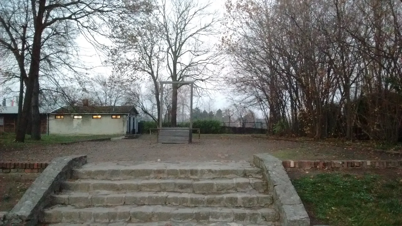 IMG_20181110_162032386.jpg