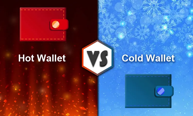 hotwalletandcoldwallet.jpg