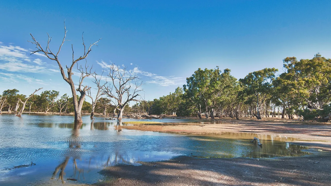 landscape-2262227_1920.jpg