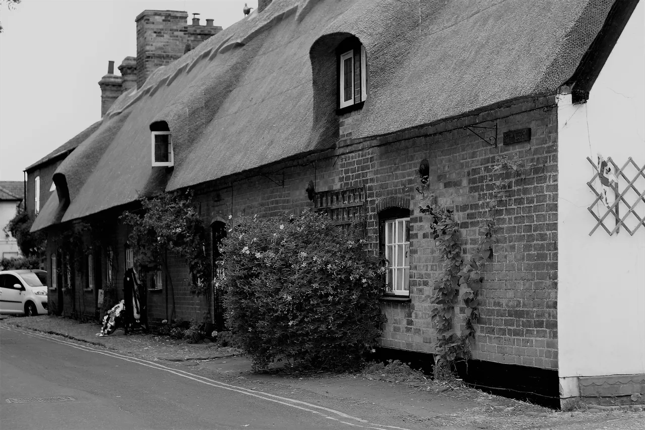 thatched cottage 3.jpg