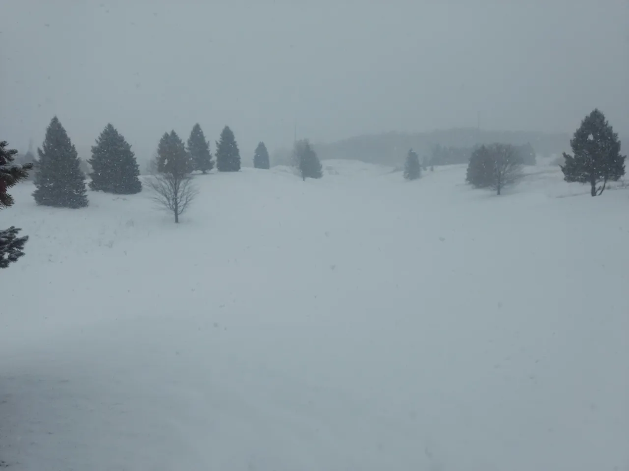IMG_20200209_154918883.jpg