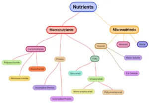 Macronutrients-300x208.png