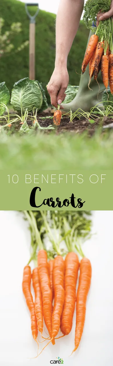 10-Benefits-of-Carrots.jpg