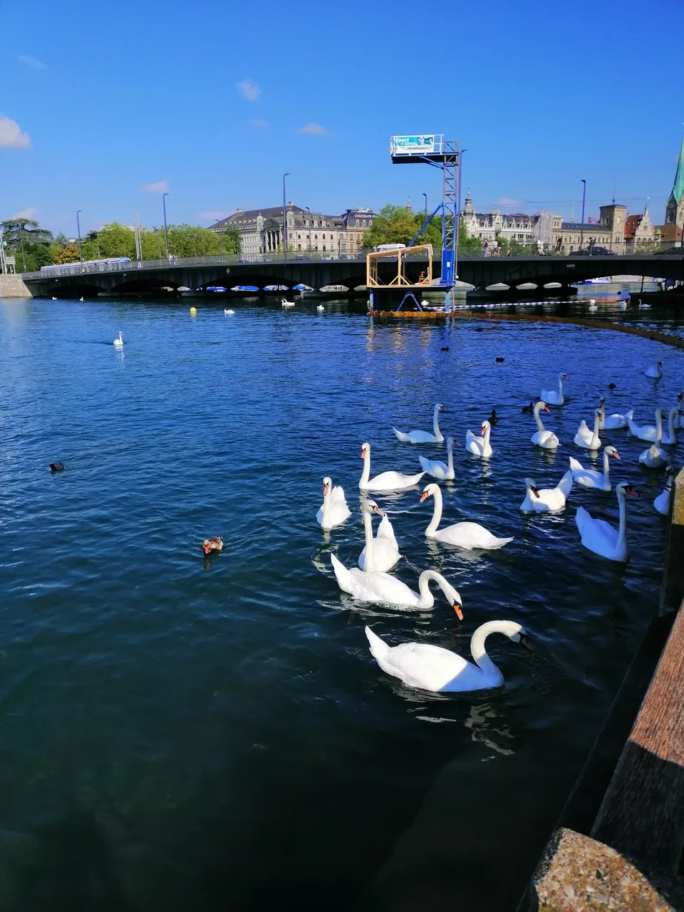 IMG_20190714_095037[1].jpg