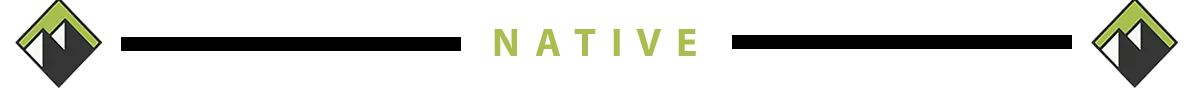 Native border logo.png