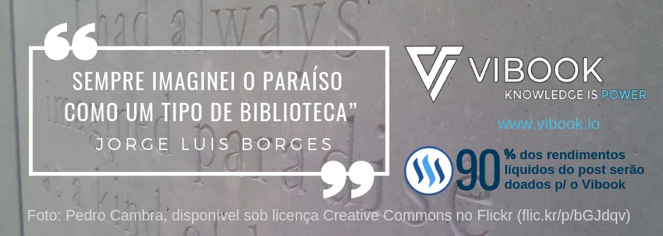 steem_vibook_rodape_01.png