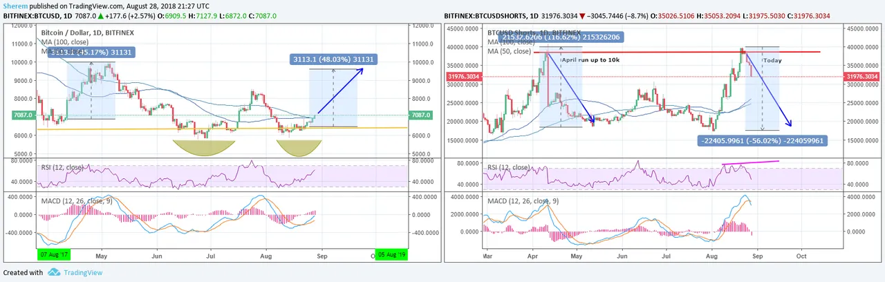 btcshorts vs price.png