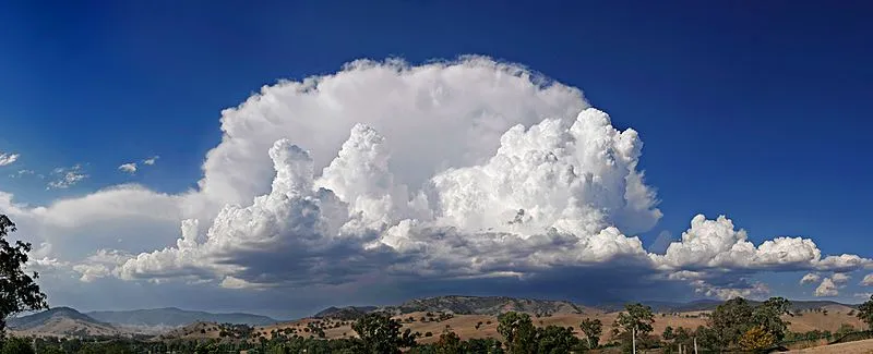 Anvil shaped cloud.jpg