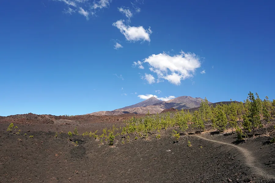 Mount_Teide_pre_002c_s.jpg