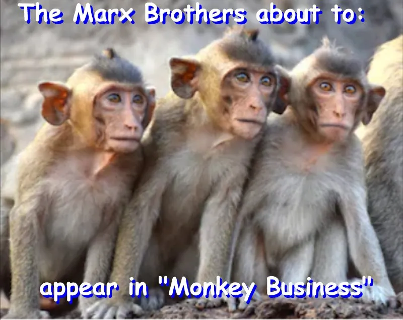 mongroup_famous_comedy.jpg