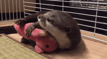 5be24f4e7770d502654000.gif