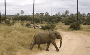 5bee1b23d41d3664589426.gif