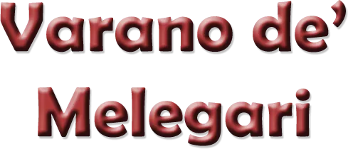 varano de melegari.png