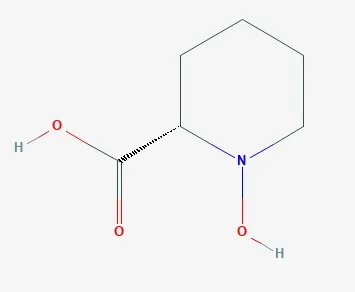N-hydroxypipecolicacid.jpg