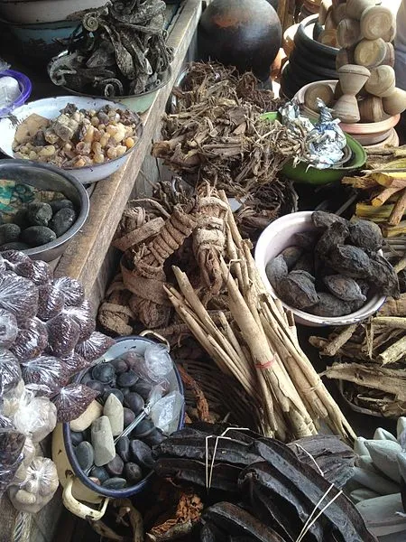 traditional medicine.JPG