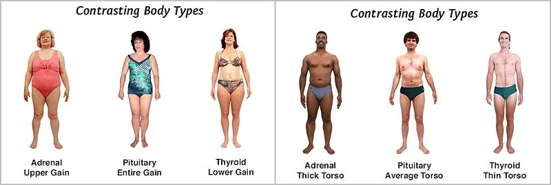 Contrasting_body_types.jpg