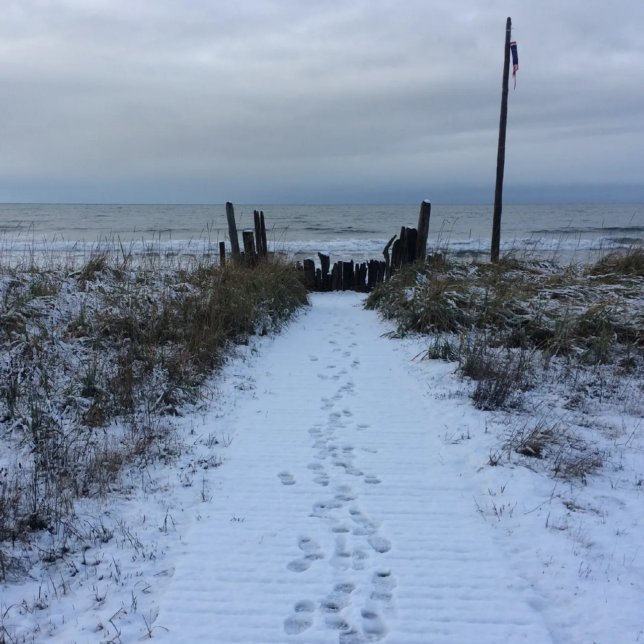 Itunes beach photo.jpg
