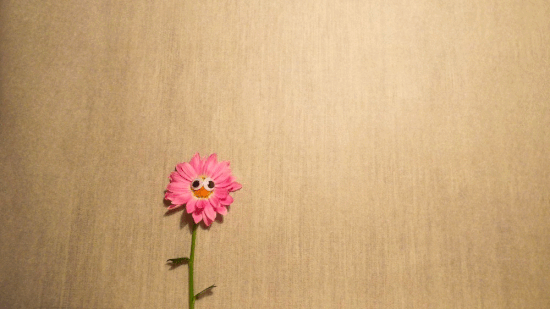 Mr. Flower of May by @tellurian