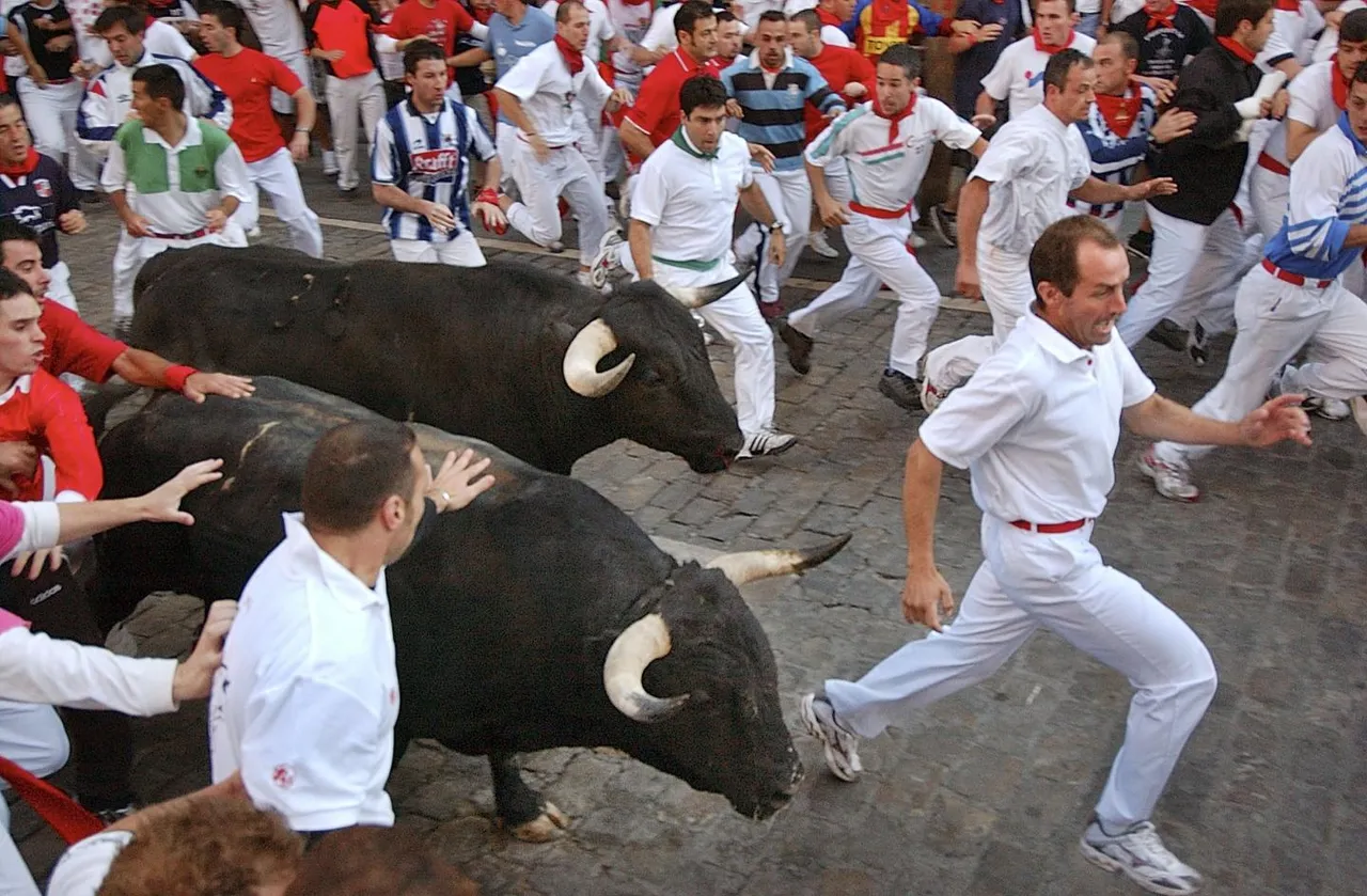 pamplona_running_bulls.jpg