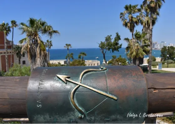 Self portrait (19).jpg