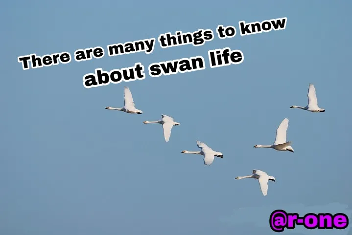 PicsArt_06-10-12.37.35.jpg