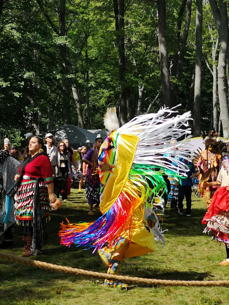 IMG_20180902_140737[1].jpg