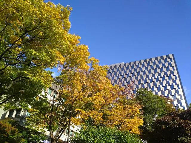 IMG_20181018_155706690.jpg