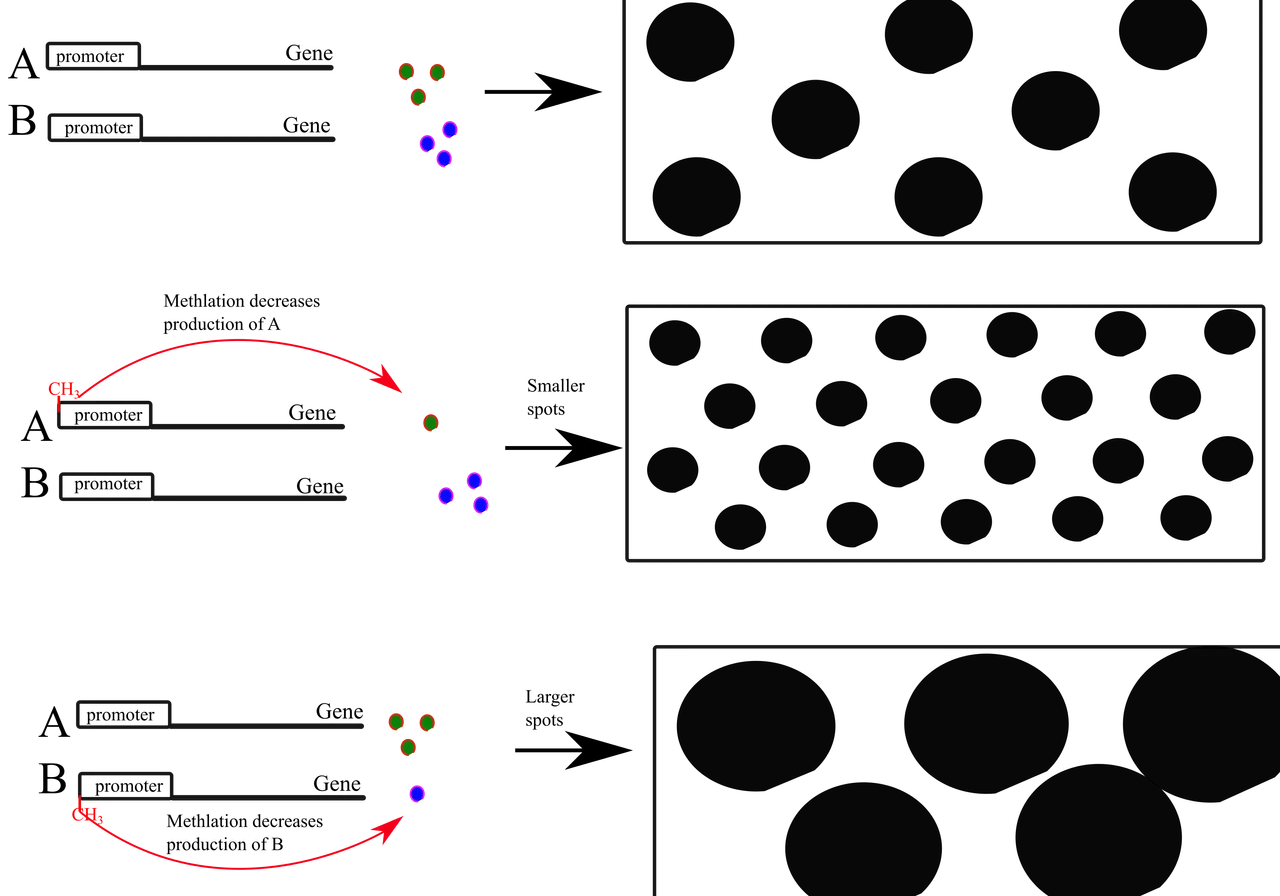 epigene and unique.png