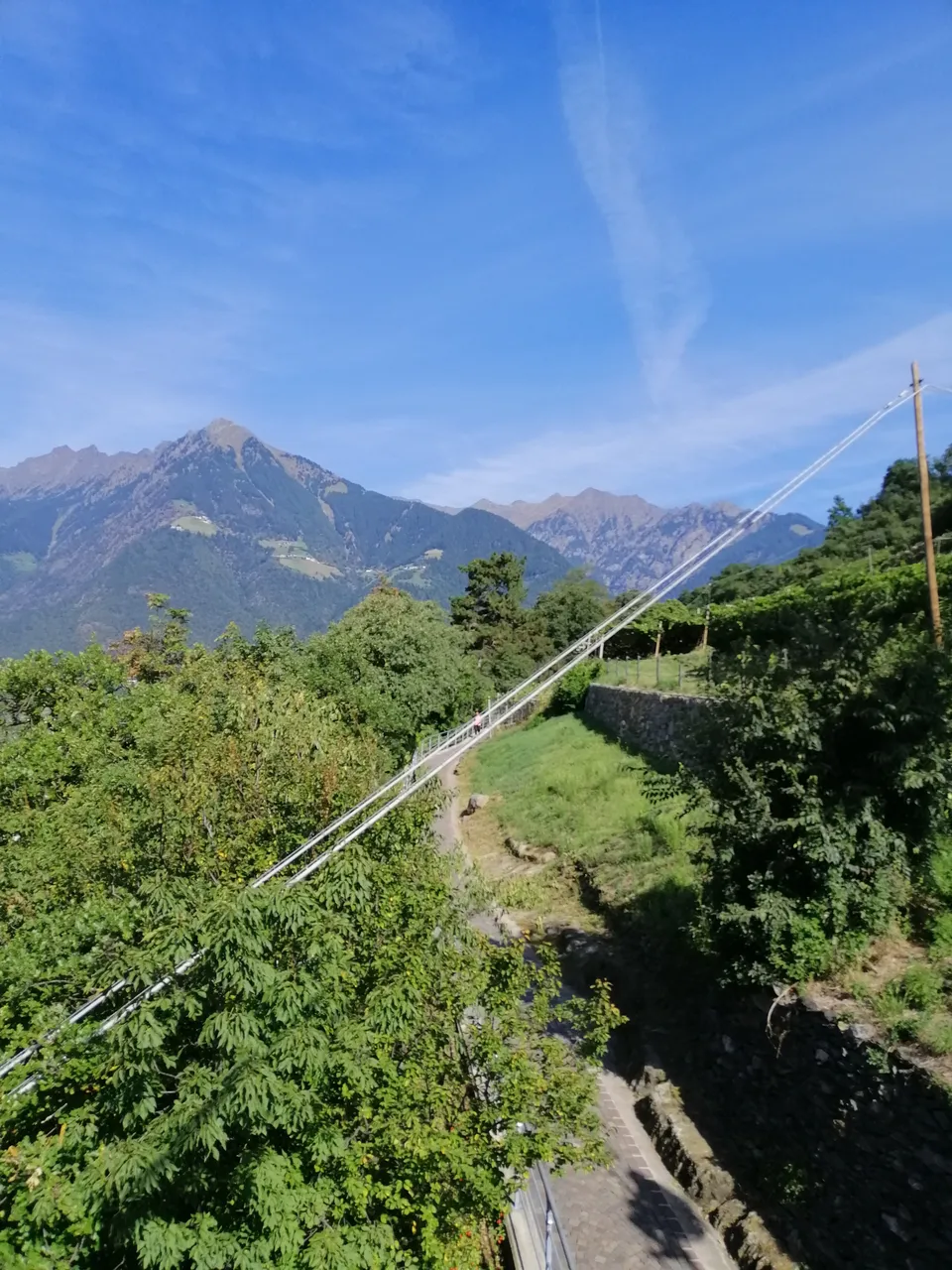 IMG_20190914_105151[1].jpg