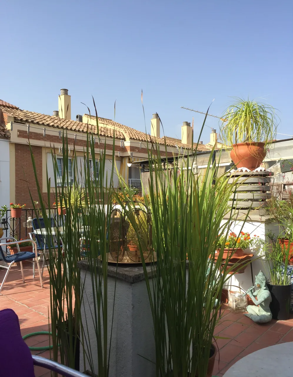 Annie's Terrace 02.JPG
