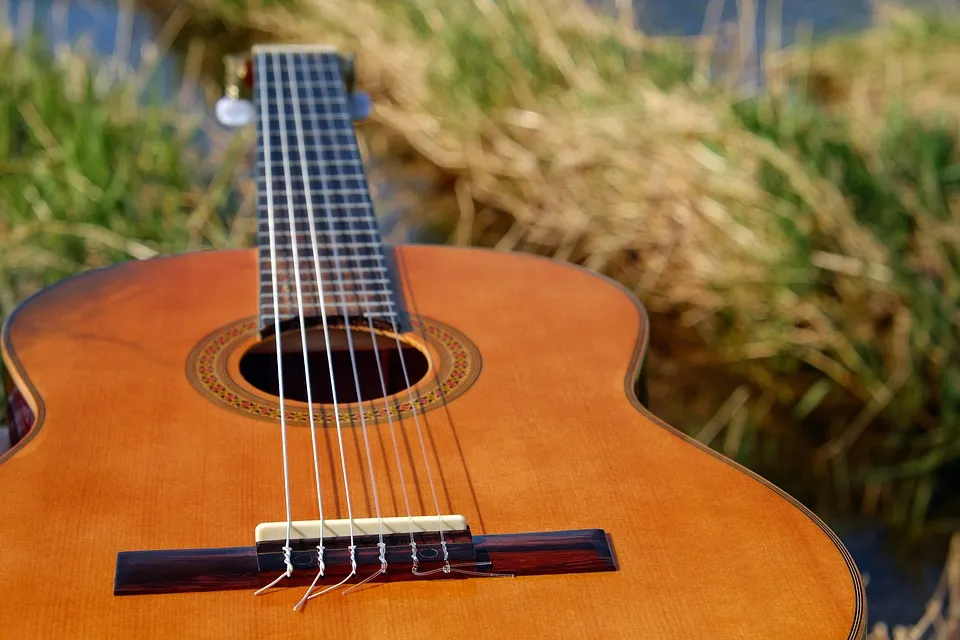 guitar-2276181_960_720.jpg