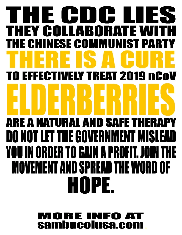 ElderberriesMemeBegins.png