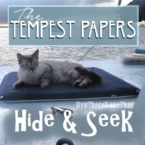 23-Tempest-hideandseek.png